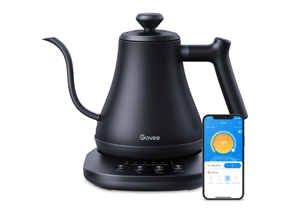 Gift Smart Gooseneck Kettle from Govee